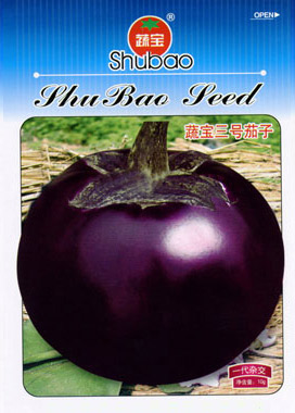 茄子種子